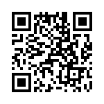 T38438-22-0 QRCode