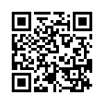 T38440-13-0 QRCode