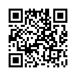 T38460-22-0 QRCode