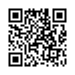 T38462-08-0 QRCode