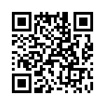 T38463-06-0 QRCode