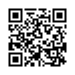 T38463-09-0 QRCode