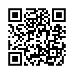 T38465-02-0 QRCode