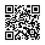 T38512-09-0 QRCode