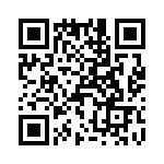 T38513-20-0 QRCode