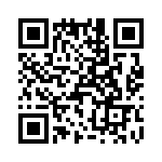 T38523-21-0 QRCode