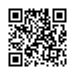 T38528-09-0 QRCode