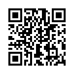 T38530-17-0 QRCode