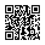 T38532-04-0 QRCode