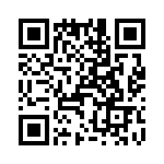 T38532-10-0 QRCode