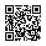 T38532-12-0 QRCode