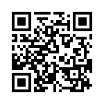 T38532-24-0 QRCode