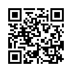 T38535-13-0 QRCode