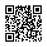 T38537-13-0 QRCode