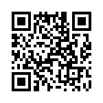 T38540-24-0 QRCode