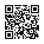 T38542-13-0 QRCode