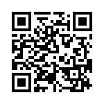 T38543-22-0 QRCode