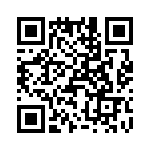 T38547-07-0 QRCode