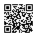 T38560-07-0 QRCode