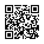 T38560-09-0 QRCode