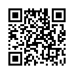 T38562-04-0 QRCode