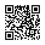 T38562-07-0 QRCode