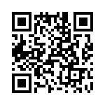 T38565-13-0 QRCode