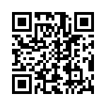 T40424500000G QRCode