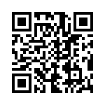 T41304500000G QRCode