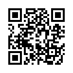 T550B256K100TH QRCode