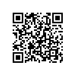 T86D336K010EBAS QRCode