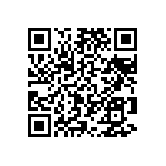 T86E336K025EASS QRCode