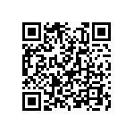 T86E337M004EASS QRCode