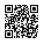 T92P11A22-12 QRCode