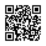 T92P11D22-12 QRCode