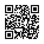 T93YB502KT20 QRCode