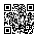 TLZ9V1B-GS08 QRCode