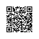 TNPW06033K48BETA QRCode