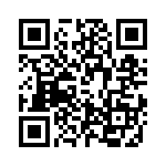 TS300F23IET QRCode