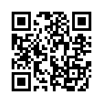 U13P3YZ3QE QRCode