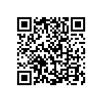 V110B3V3E100BG2 QRCode