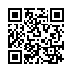 V110C24T100BL2 QRCode