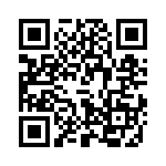 V14E385PL2T QRCode