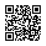 V24B12E150BG2 QRCode