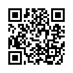 V24C12T100B2 QRCode