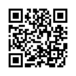 V24C24T100BG3 QRCode