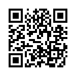 V24C28T50BG QRCode