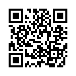 V24C48T100BL QRCode