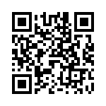 V28A5T175BG2 QRCode