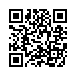 V28C36T100BS2 QRCode